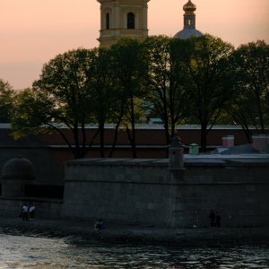 DSC_0782.jpg
