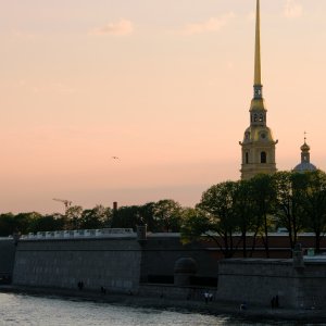 DSC_0784.jpg