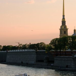 DSC_0785.jpg