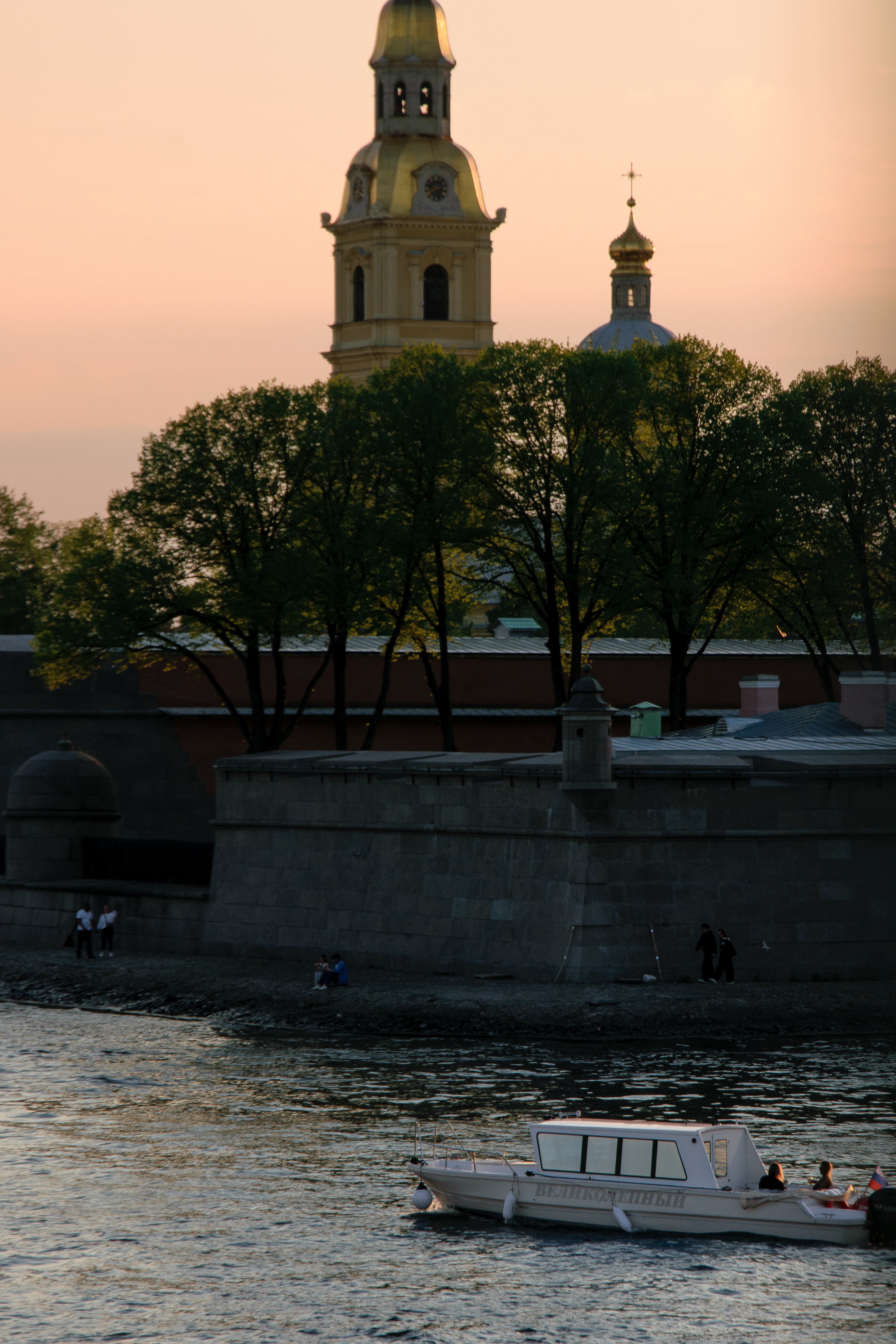 DSC_0782.jpg
