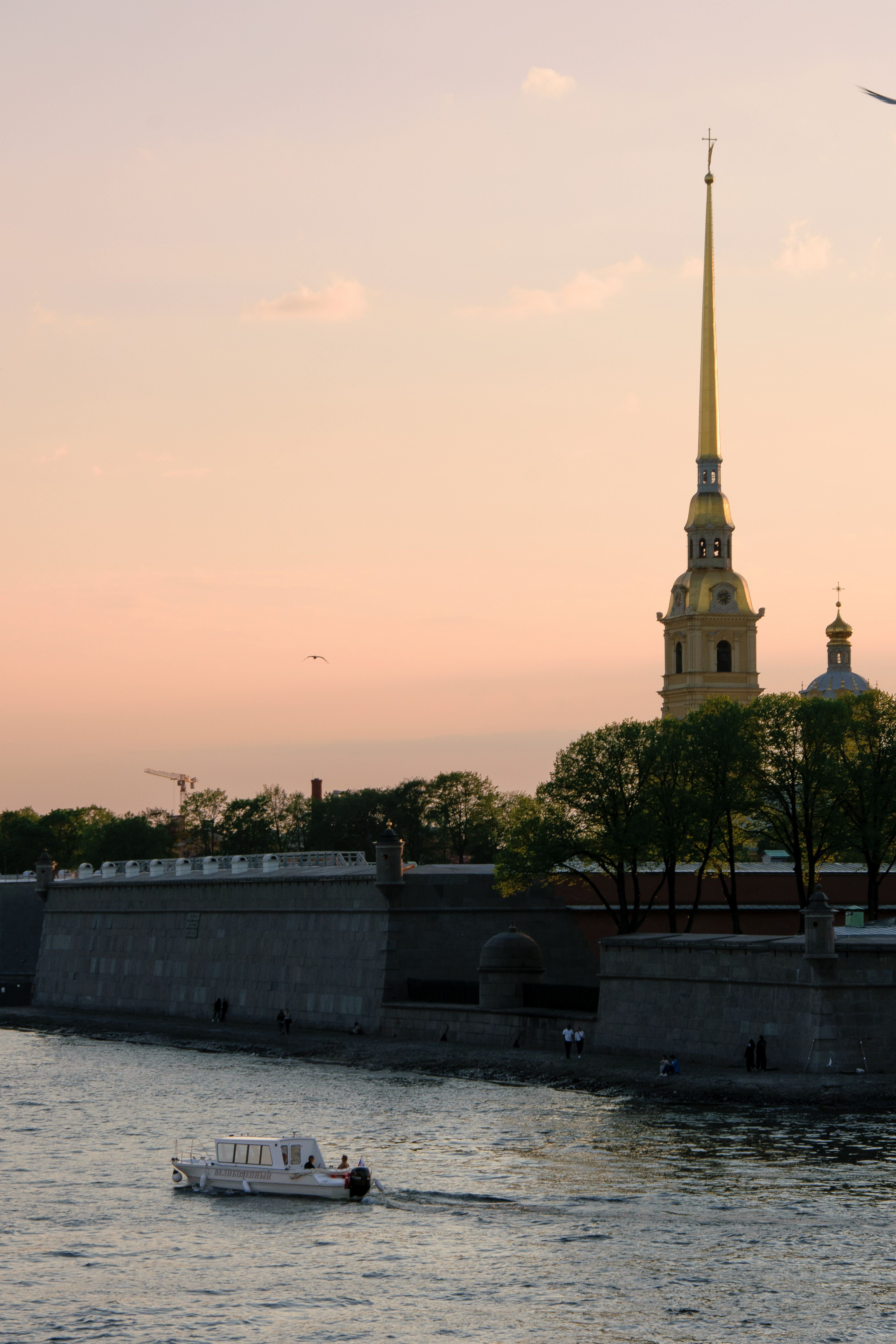 DSC_0784.jpg