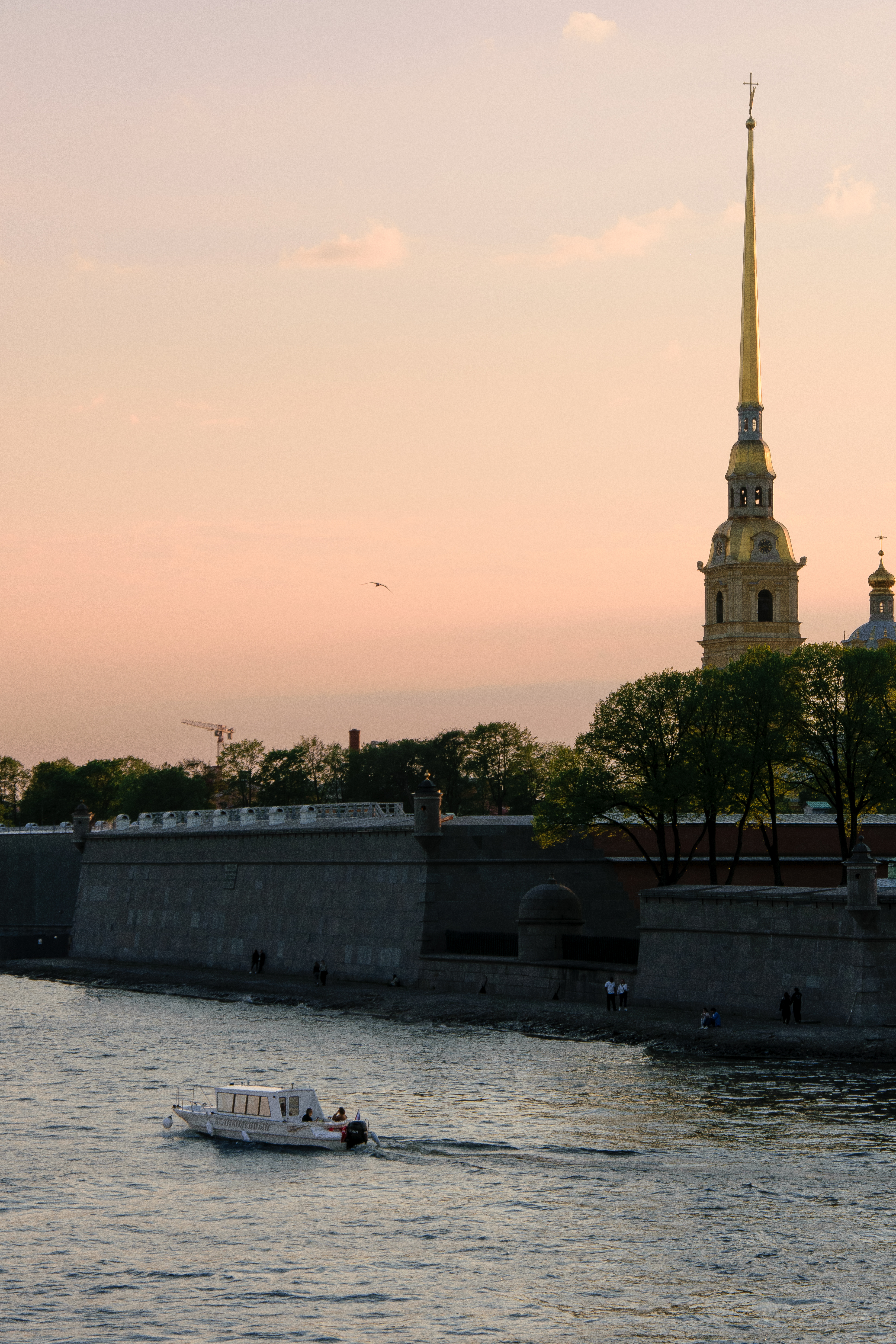 DSC_0785.jpg